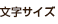 文字サイズ